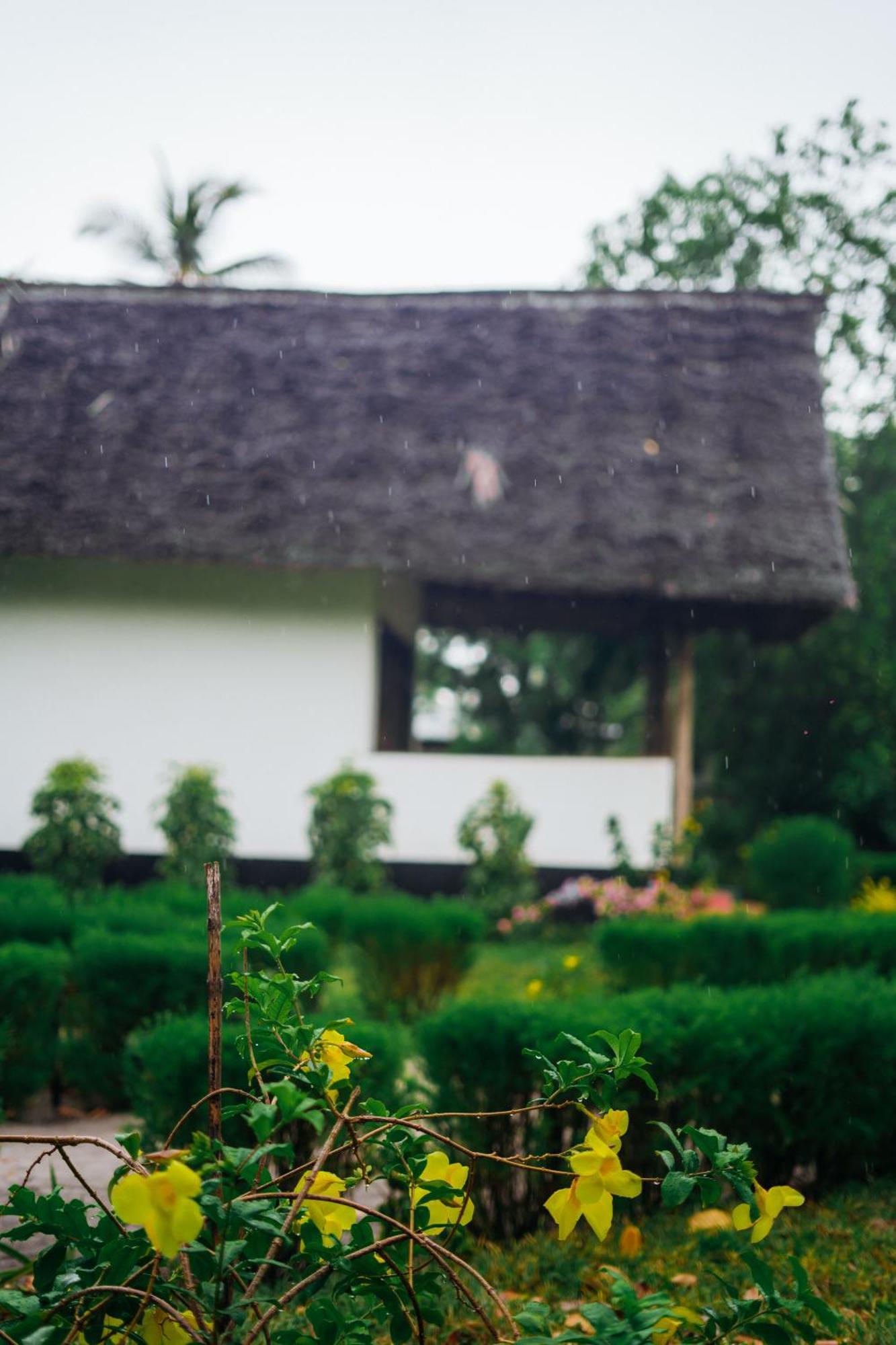Maisara Mafia Beach Lodge Kilindoni 外观 照片