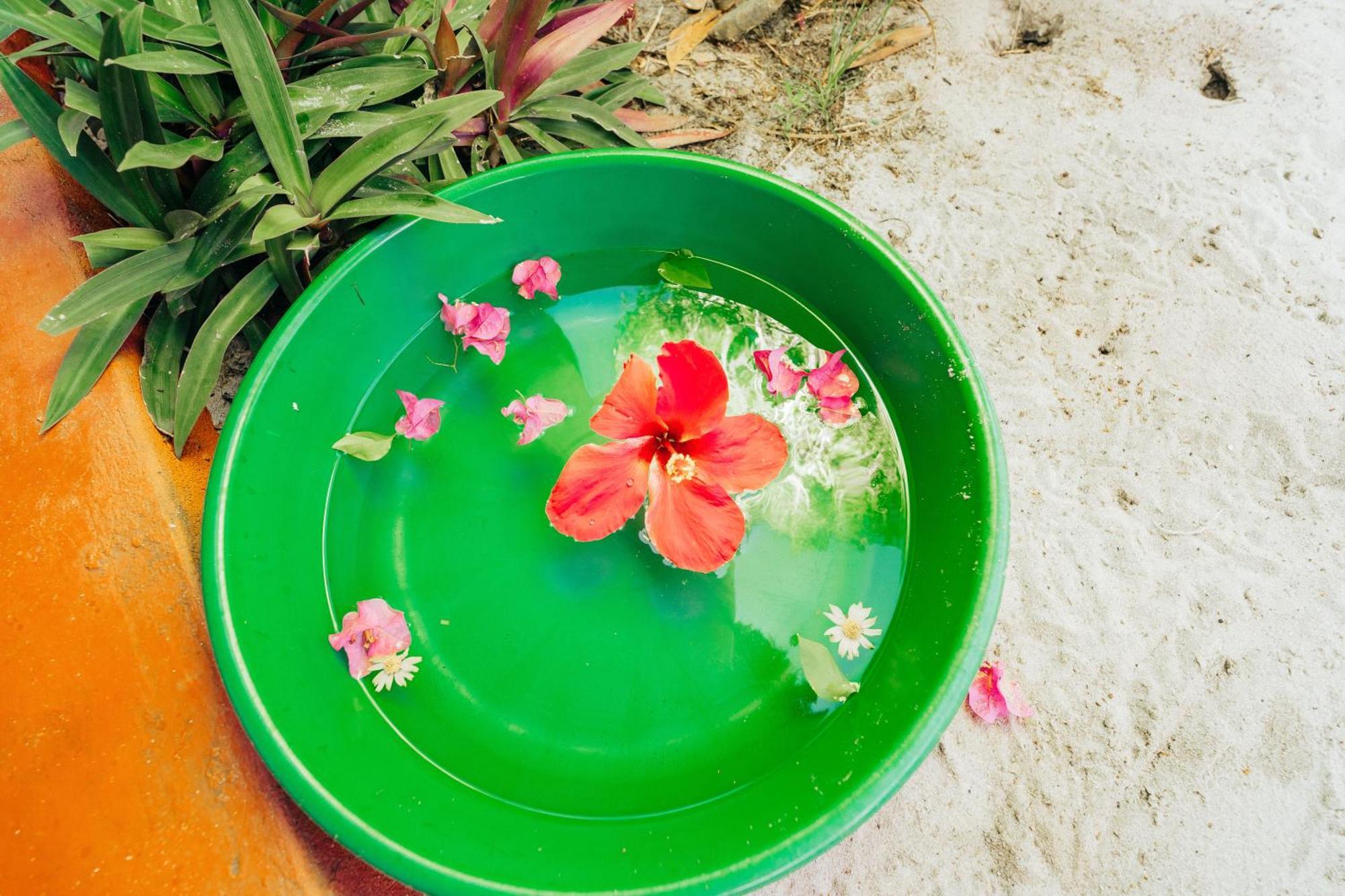 Maisara Mafia Beach Lodge Kilindoni 外观 照片